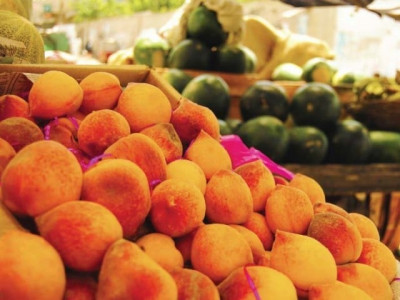 corporate farming not in national interest