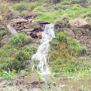 bitter sentiments locals disillusioned as irrigation dept fails to restore channel