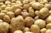 russia potato export ban discussed russia potato export ban discussed