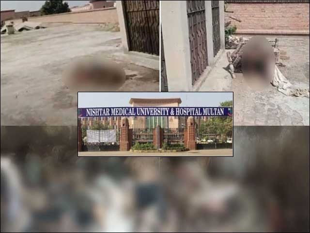 Photo of Rotting bodies found on roof of Multan hospital