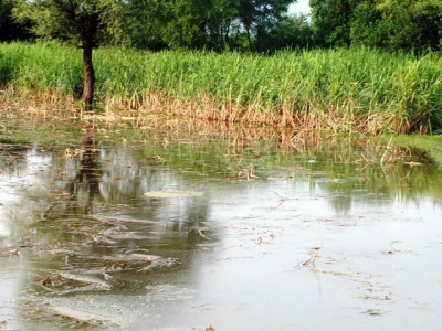 ineffective management floods pakistan again ineffective management floods pakistan again