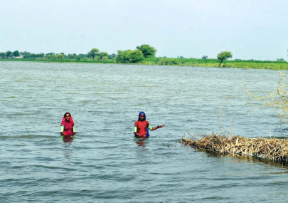heavy rains may cause severe flooding in lower sindh heavy rains may cause severe flooding in lower sindh