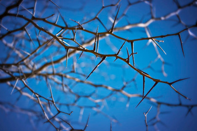 analysis what now after zulfiqar mirza s bombshell analysis what now after zulfiqar mirza s bombshell