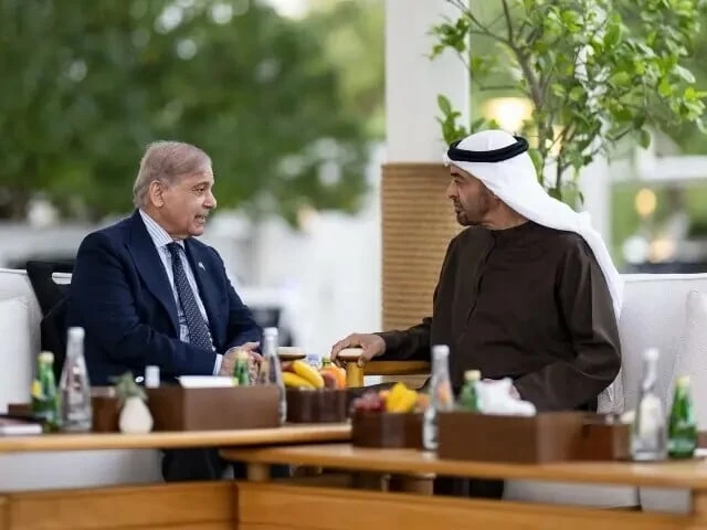 UAE president to arrive tomorrow, says FO