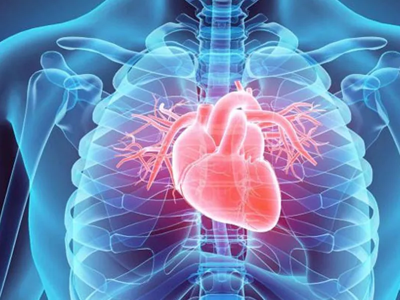 cardiovascular diseases cardiovascular diseases