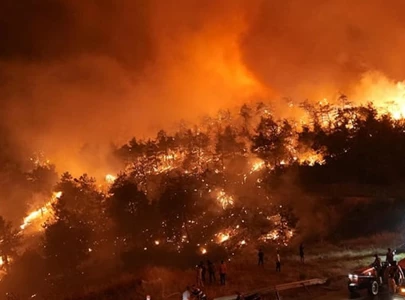 turkey bulgaria battle wildfires
