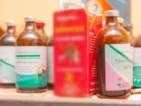 fake veterinary injection factory busted four nabbed