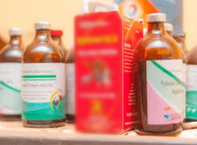 fake veterinary injection factory busted four nabbed