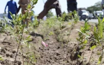 citizens urged to stand against environmental degradation