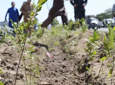 citizens urged to stand against environmental degradation citizens urged to stand against environmental degradation