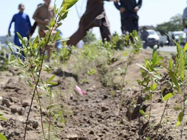Citizens urged to speak out against land misuse, environmental decline