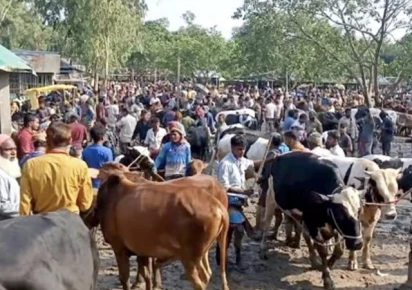 Livestock trade in designated urban areas of Karachi
