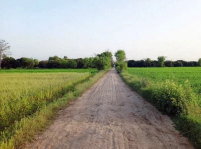 punjab seeks details of unused government properties