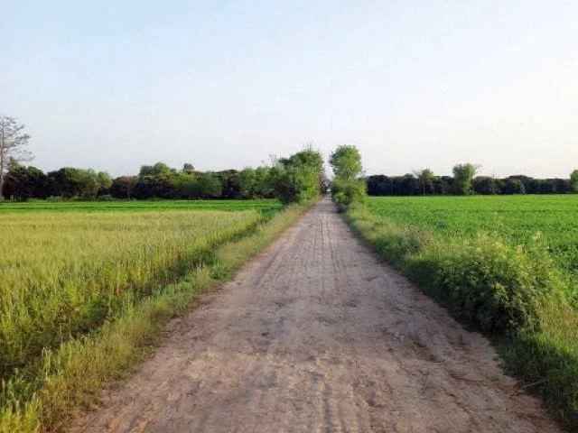 Punjab seeks details of unused government properties