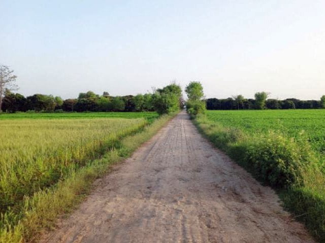 Punjab seeks data on unused state properties