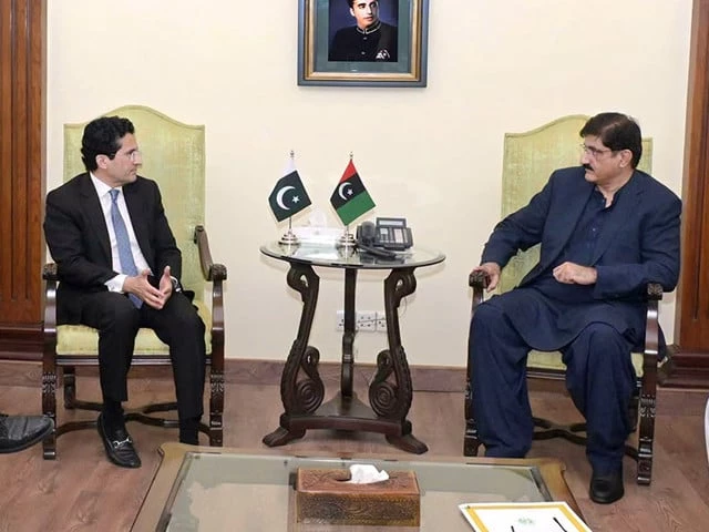 Sindh seeks Hidan Block rights