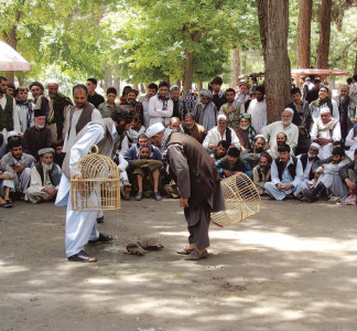 if you are drinking tea then bring some for me also