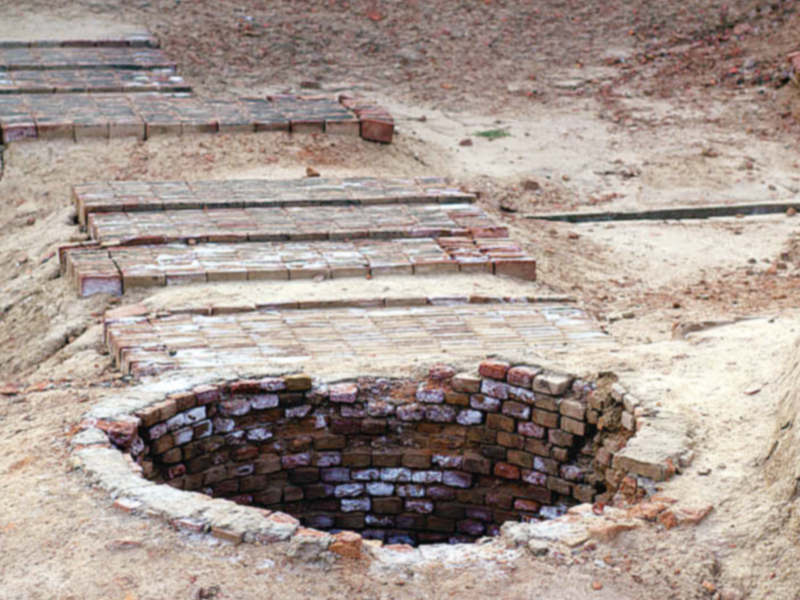 amidst the ruins in harappa