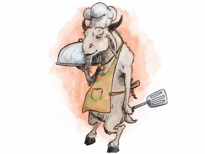 gullu butt bakra raja the cow and our immature pakistani media gullu butt bakra raja the cow and our immature pakistani media