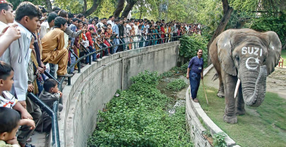 feast festivity eid draws lahoris outdoors feast festivity eid draws lahoris outdoors