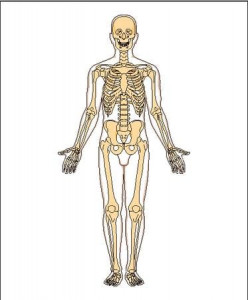 liver transplant living donor surgery likely by month end liver transplant living donor surgery likely by month end