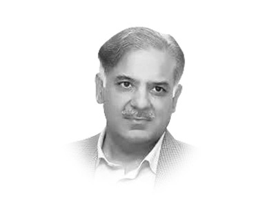 the scavengers of pakistan the scavengers of pakistan