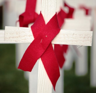 the aids myth the aids myth