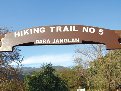 new life picnickers throng hiking trail new life picnickers throng hiking trail