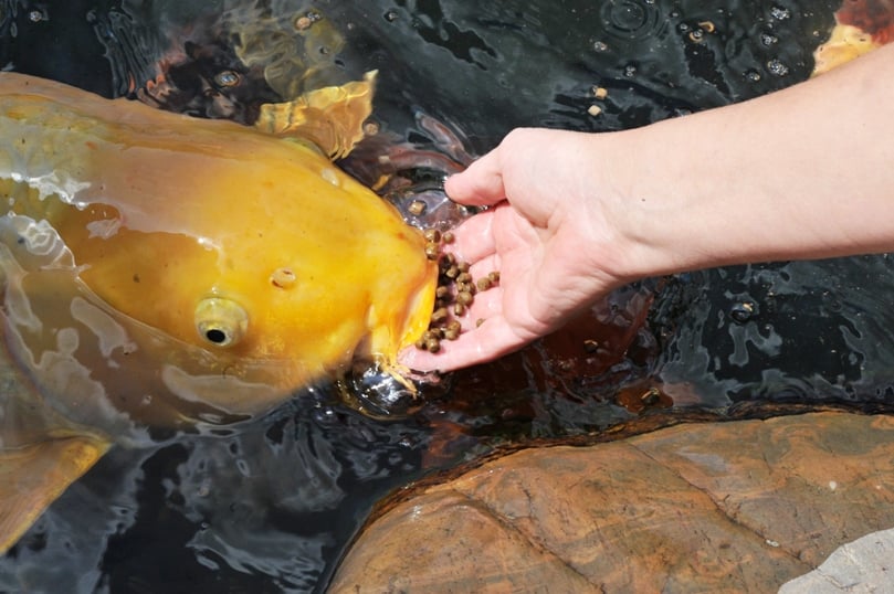 Updated Sep 05, 2011