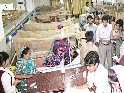 daily toll another 176 dengue cases third unofficial death reported daily toll another 176 dengue cases third unofficial death reported