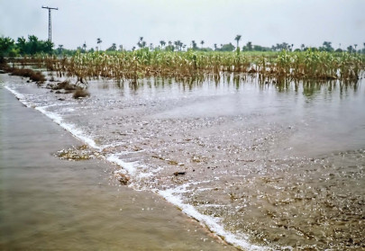 flood fallout hundreds protest against administration for not repairing dykes flood fallout hundreds protest against administration for not repairing dykes