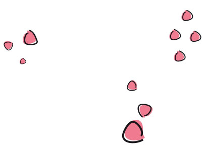 the curious case of acne the curious case of acne