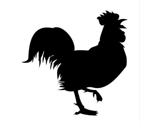 poultry industry experts for controlling intestinal disease poultry industry experts for controlling intestinal disease