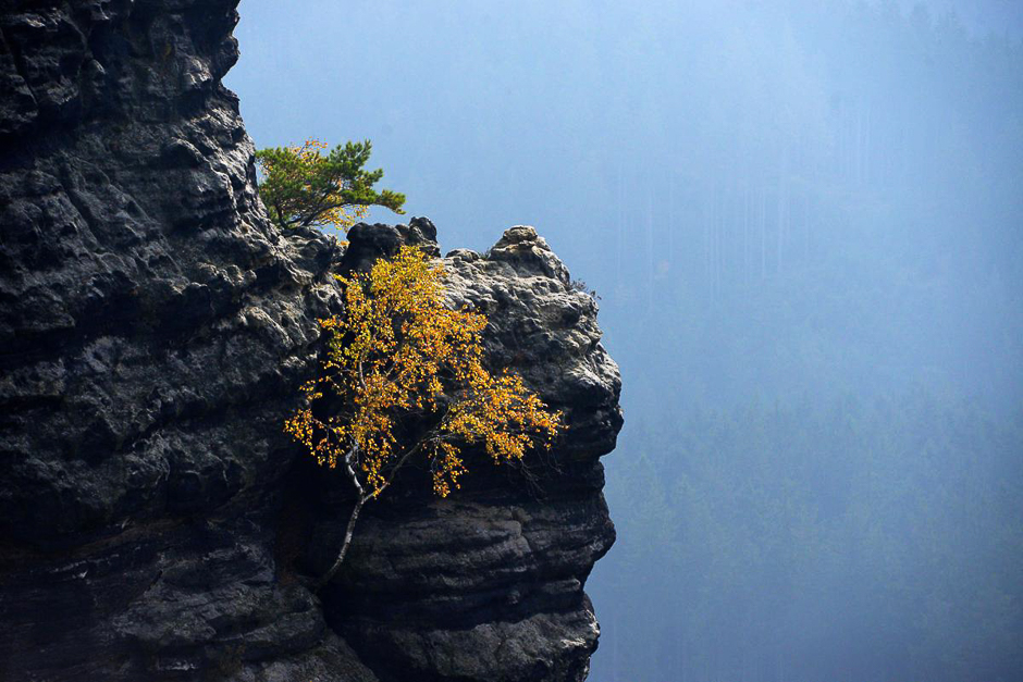 The leaves change their colors near Hrensko, North Bohemia on Oct. 23. PHOTO: AFP 