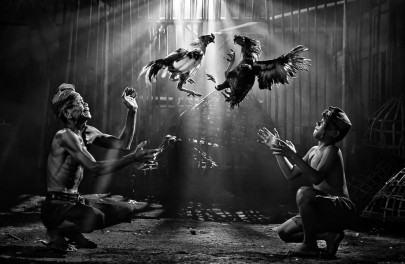 16 incredible pictures from the siena international photography awards 16 incredible pictures from the siena international photography awards