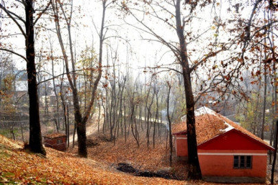 the colours of kashmir the colours of kashmir