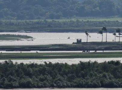 200 killed in drone attacks on fleeing rohingya