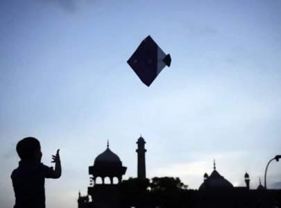 govt proposes harsher penalties for kite flying govt proposes harsher penalties for kite flying