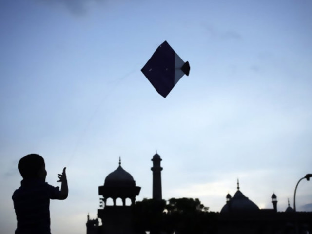 govt proposes harsher penalties for kite flying govt proposes harsher penalties for kite flying