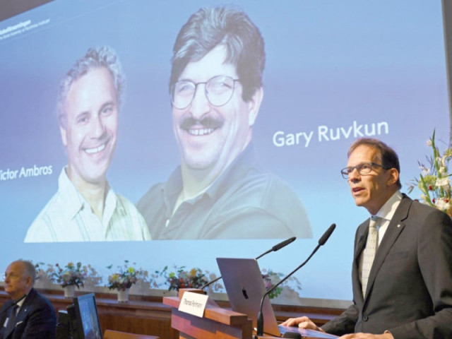 us duo win nobel for gene regulation breakthrough
