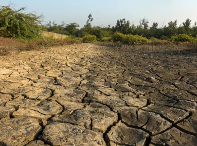 over 75 of land permanently drier
