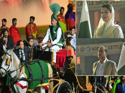 horse cattle show concludes with colourful ceremony horse cattle show concludes with colourful ceremony