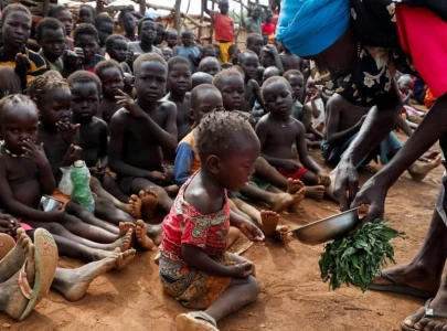 global hunger down slightly in 2024 un