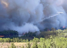 european heatwave sets records