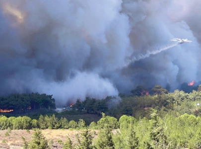 european heatwave sets records european heatwave sets records
