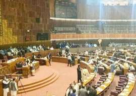 na descends into chaos over speaker ban na descends into chaos over speaker ban