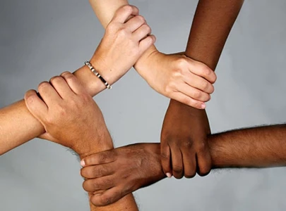 experts call for equal opportunity social harmony