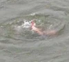three kids swept away after mother jumps into river three kids swept away after mother jumps into river