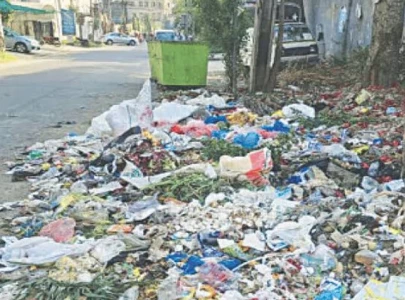 south punjab s purple treasure wasted