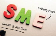 aurangzeb welcomed the continued scaling up of risk sharing and partial guarantee schemes particularly for smes and small farmers to mobilise private capital photo file